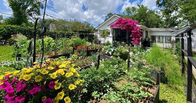 Image may contain Garden Nature Outdoors Backyard Yard Gardening Plant Potted Plant Jar Planter Pottery and Vase