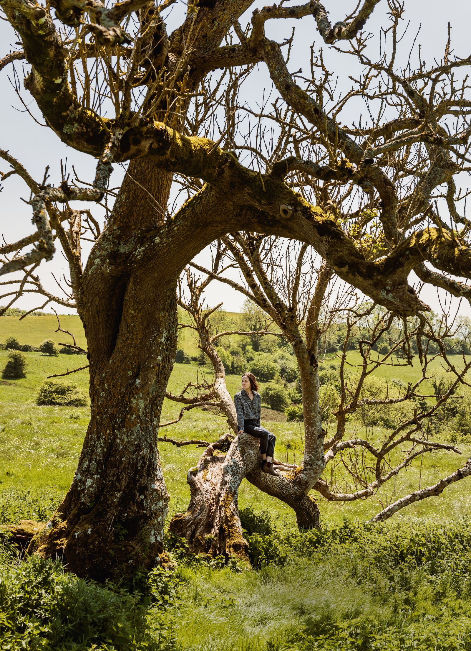 Image may contain Plant Tree Tree Trunk Oak Vegetation Person Herbal Herbs Sycamore Land Nature and Outdoors