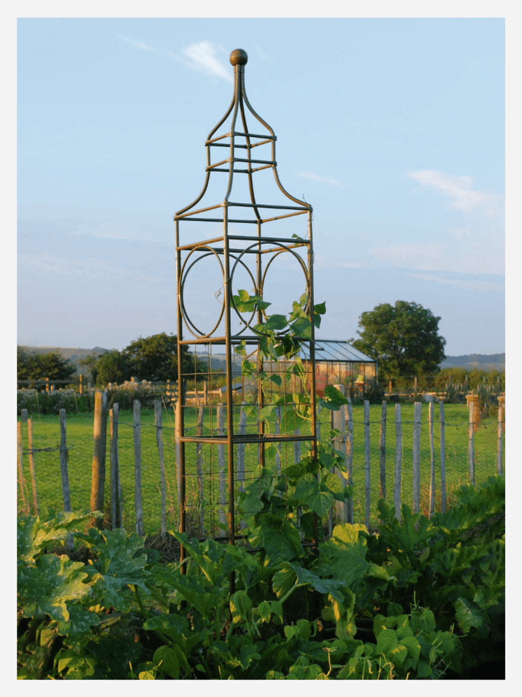 Image may contain: Garden, Nature, Outdoors, Countryside, and Rural