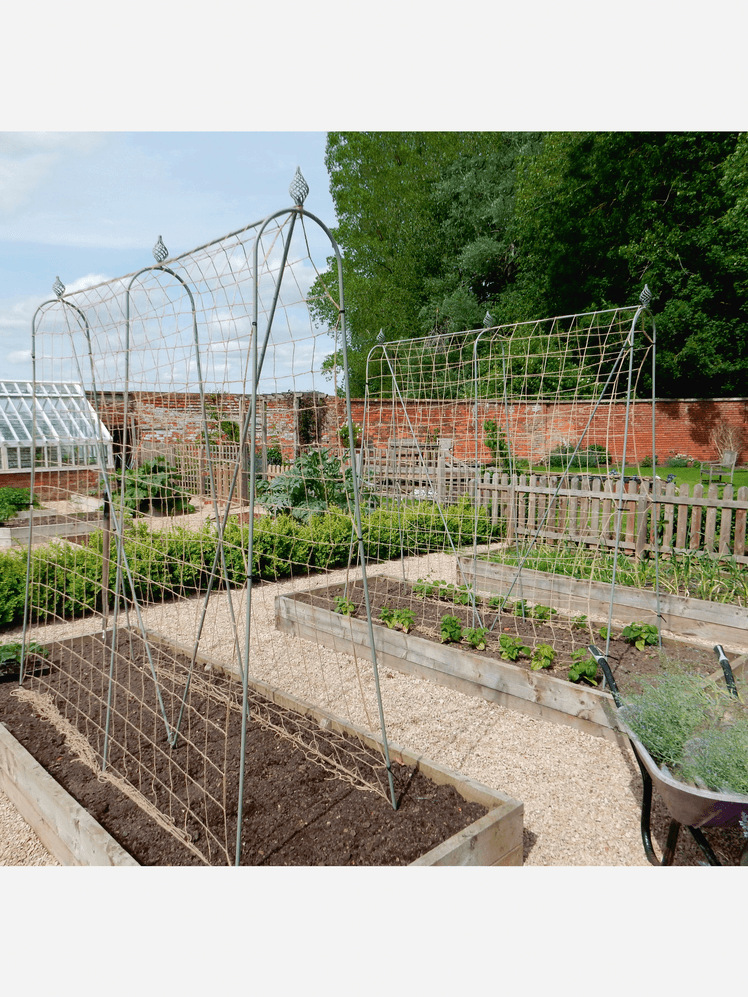 Image may contain: Garden, Nature, Outdoors, Gardening, Soil, Backyard, Yard, Plant, Potted Plant, Architecture, and Building