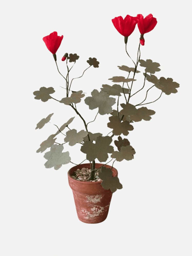 Image may contain: Flower, Geranium, Plant, Flower Arrangement, Ikebana, Rose, Leaf, and Potted Plant