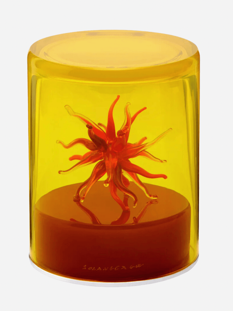 Image may contain: Jar, and Pottery