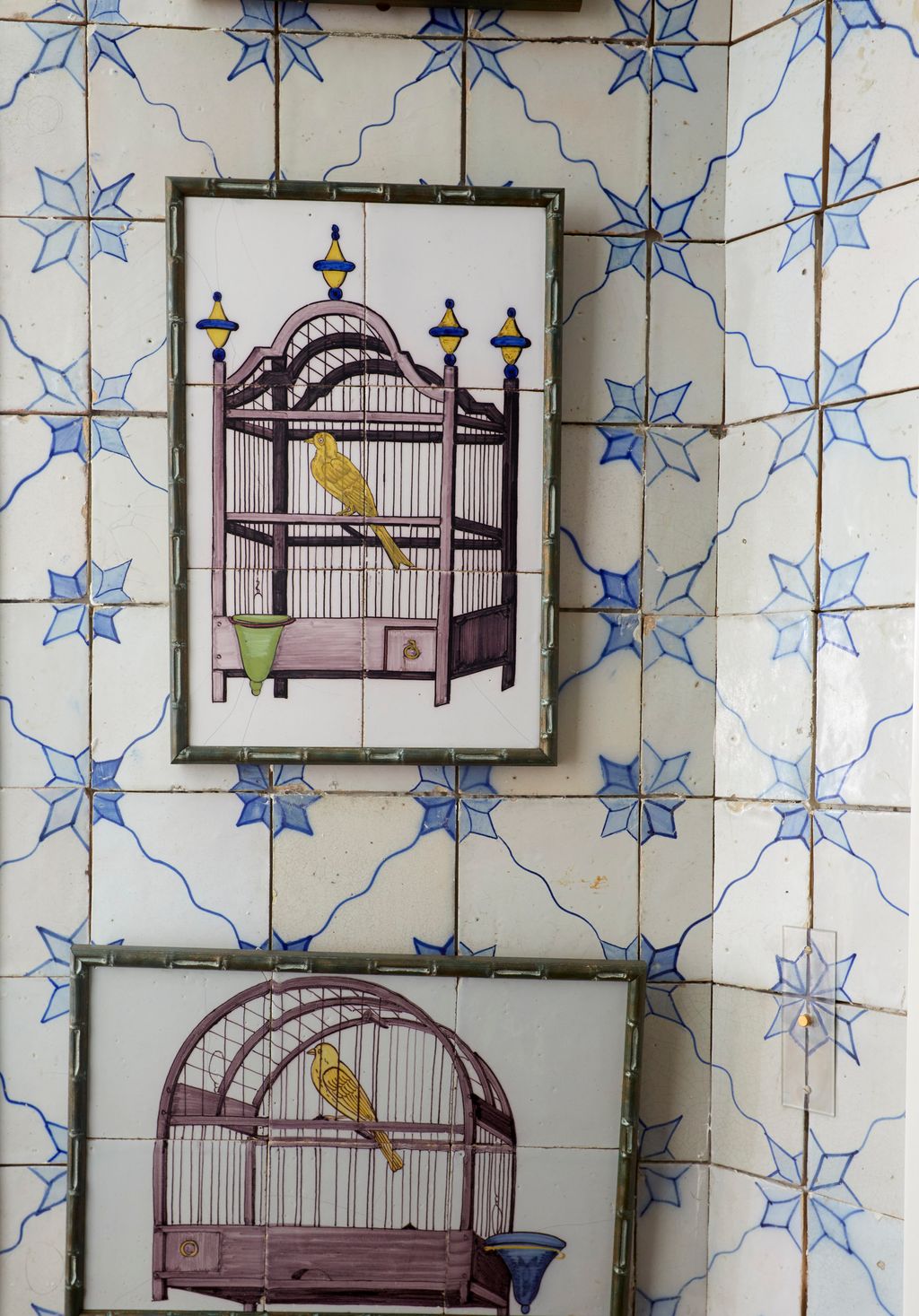 Image may contain Cage Animal and Bird