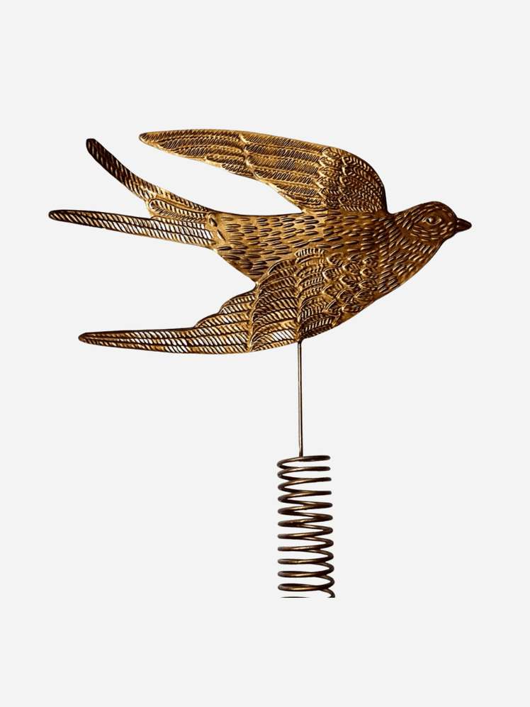 Image may contain: Accipiter, Animal, Bird, Coil, Spiral, and Finch