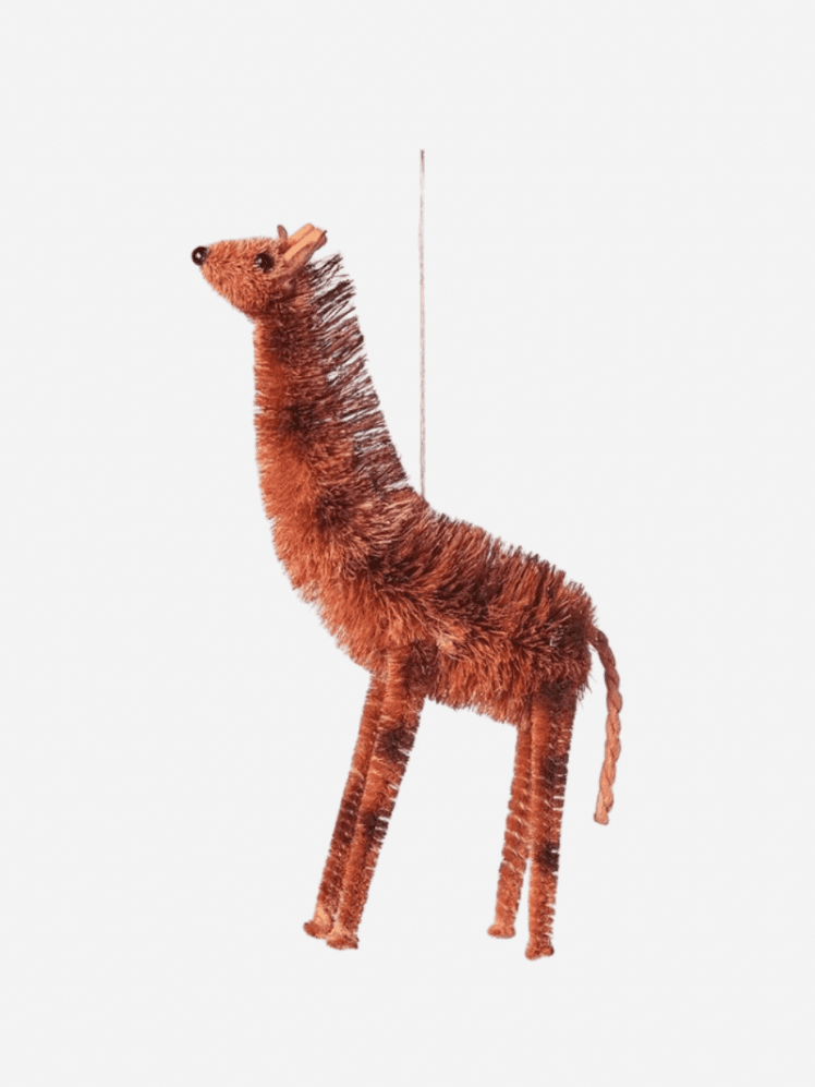 Image may contain: Animal, and Mammal