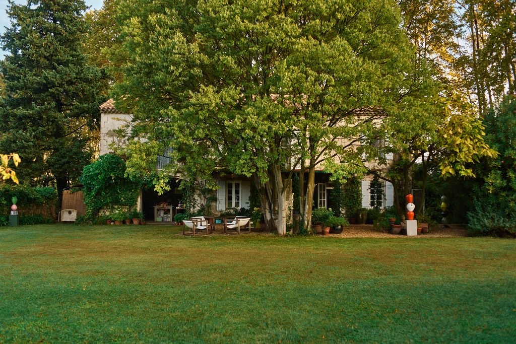 Image may contain Grass Plant Lawn Nature Outdoors Park Tree Backyard Yard Vegetation Land Woodland and Chair