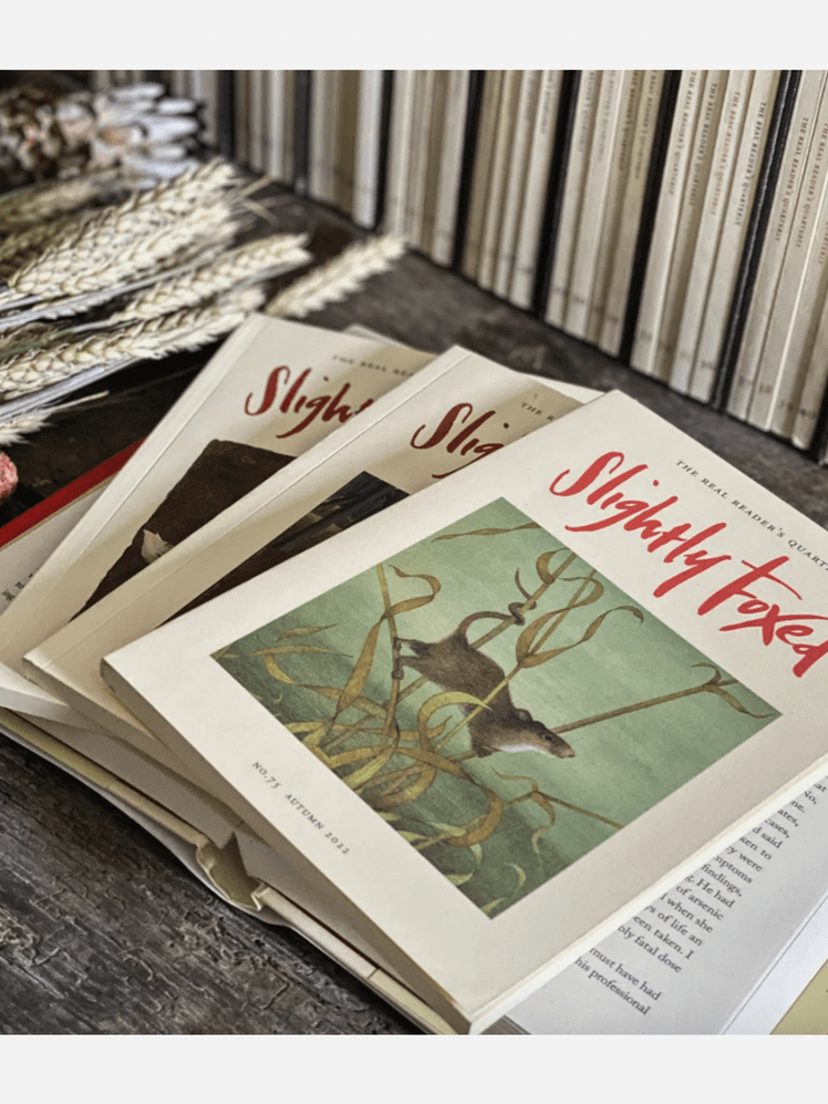 Image may contain: Book, Publication, Page, and Text