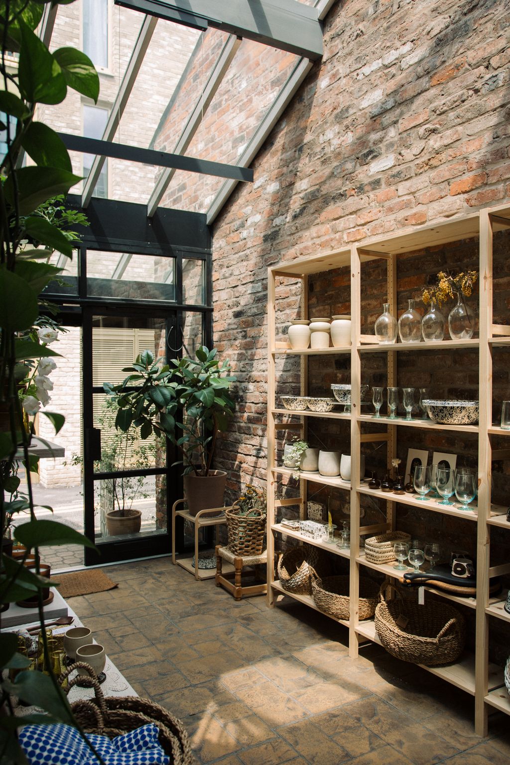 Image may contain Floor Indoors Interior Design Plant Home Decor Rug Cup Window Furniture and Flooring