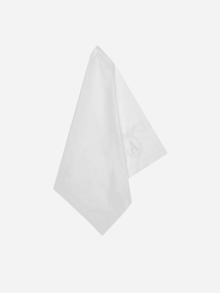 Image may contain: Napkin