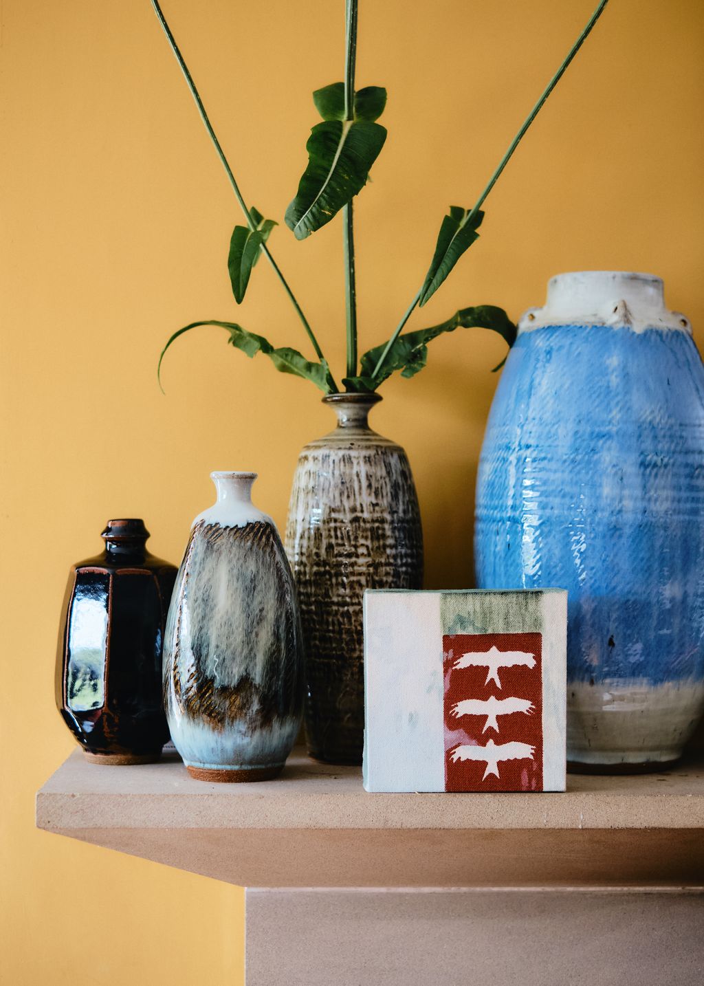 Image may contain Pottery Plant Potted Plant Jar Vase Cookware Pot Book and Publication