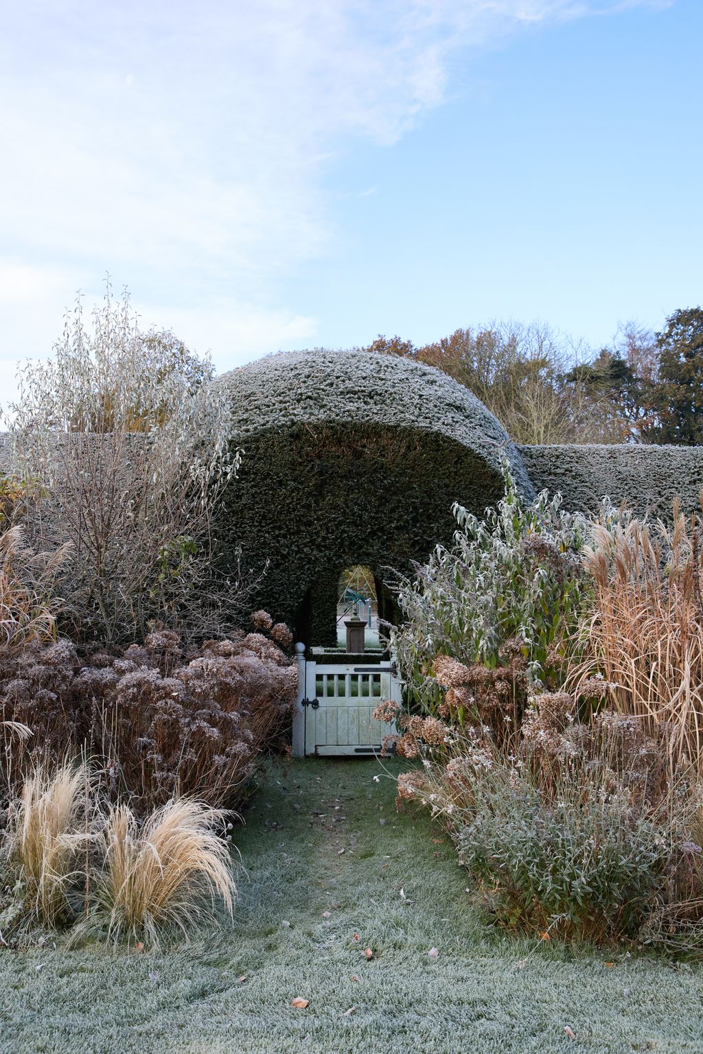 Image may contain Ice Outdoors Garden Nature Weather Grass Plant Vegetation Frost Snow Gravel and Road