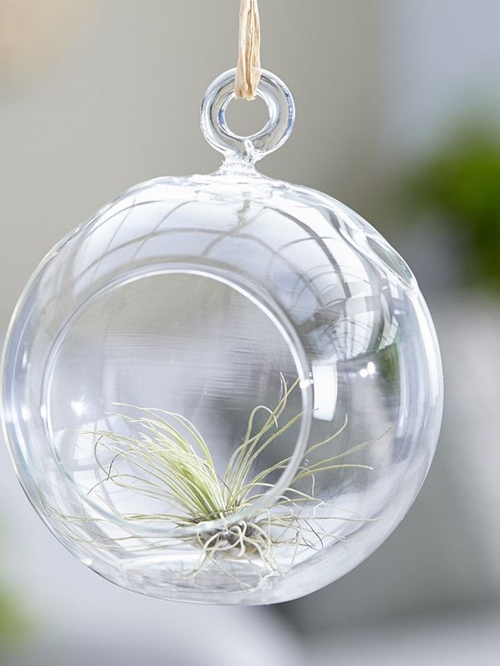 Image may contain: Accessories