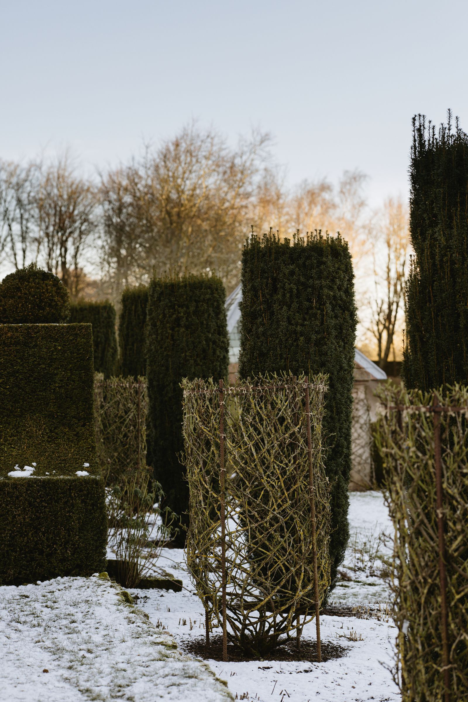 Image may contain Outdoors Nature Plant Tree Graveyard Vegetation Fence and Hedge