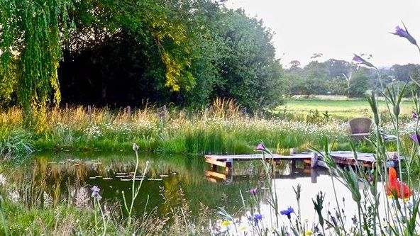 Image may contain: Nature, Outdoors, Pond, Water, Scenery, Grass, Plant, Garden, Land, Vegetation, Chair, and Furniture