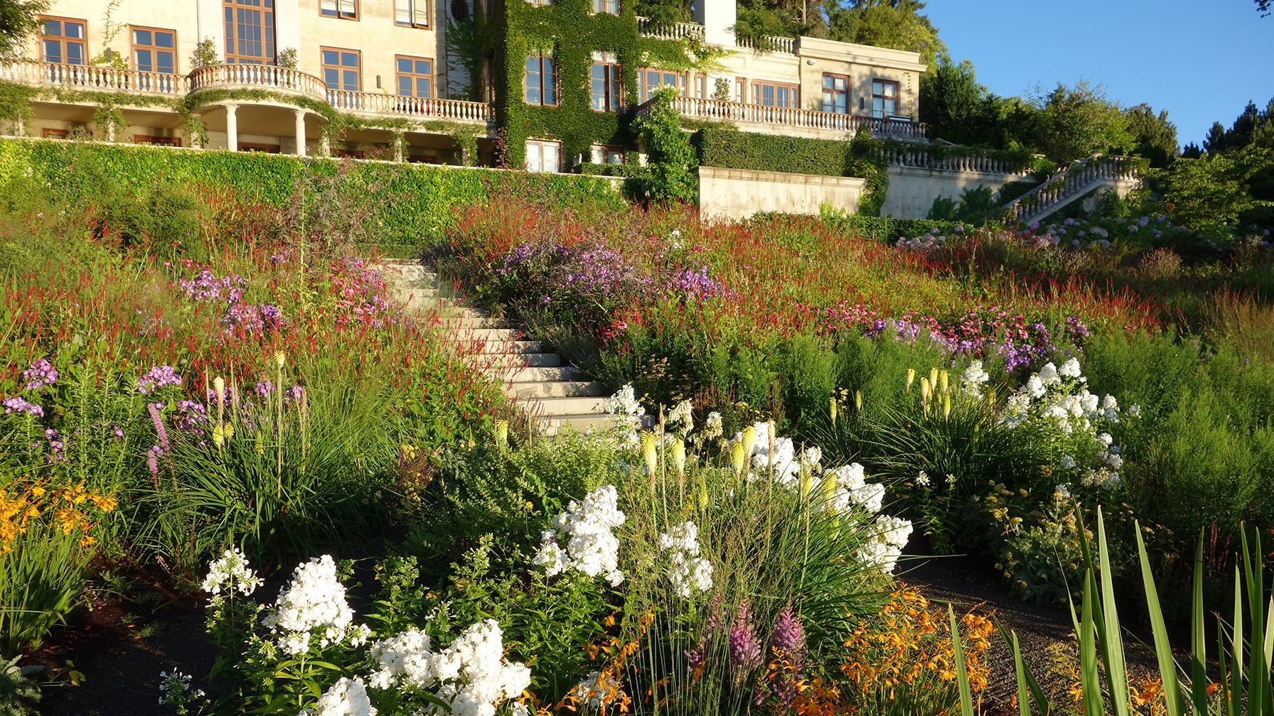 Image may contain: Garden, Nature, Outdoors, Grass, Plant, Vegetation, Herbal, Herbs, Park, Daisy, Flower, and Architecture