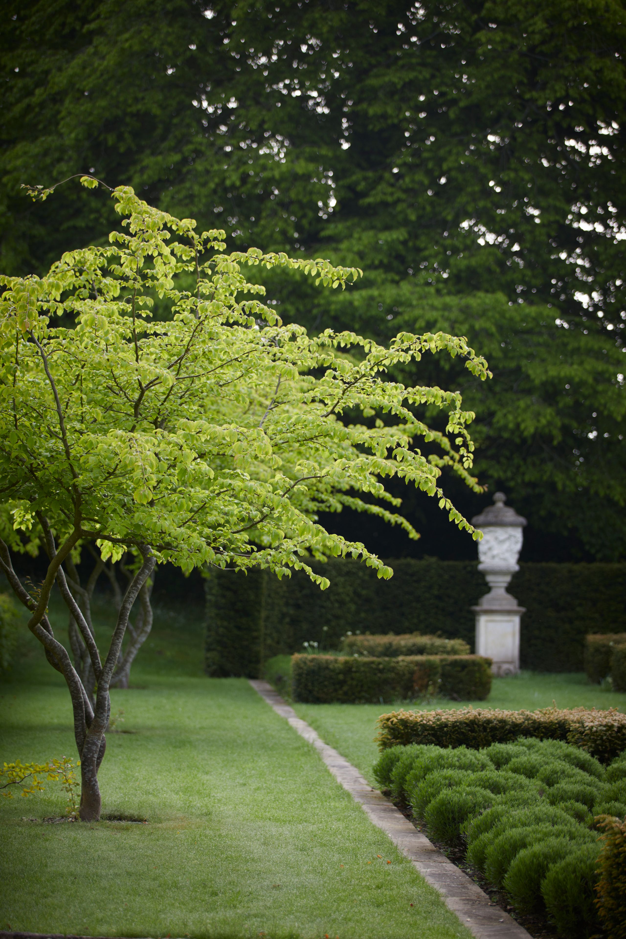 Image may contain: Grass, Plant, Nature, Outdoors, Park, Tree, Garden, Vegetation, Lawn, Tree Trunk, Land, and Woodland