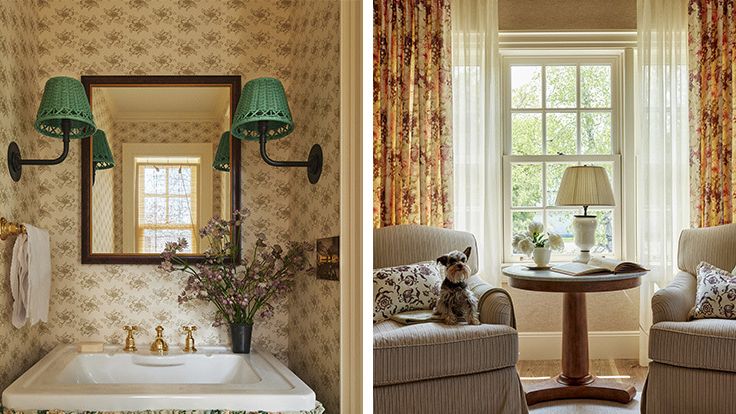 Image may contain: Lamp, Desk, Furniture, Table, Corner, Animal, Canine, Dog, Mammal, Pet, Indoors, Interior Design, and Sink