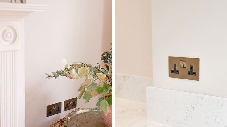 Image may contain: Plant, Potted Plant, Indoors, Interior Design, Electrical Device, Switch, Electrical Outlet, and Jar