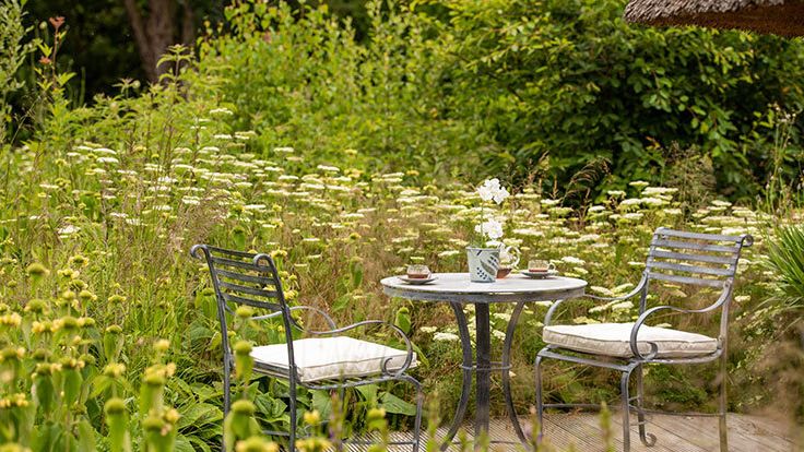 Image may contain: Furniture, Table, Dining Table, Chair, Tabletop, Desk, Garden, Nature, Outdoors, Backyard, Yard, and Grass