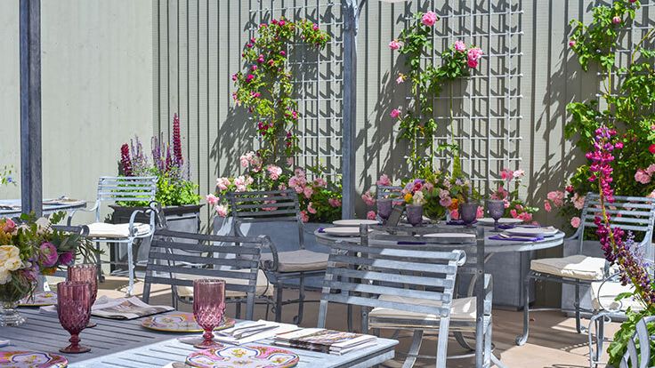 Image may contain: Furniture, Table, Dining Table, Plant, Potted Plant, Plate, Tabletop, Chair, and Flower