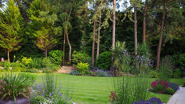 Image may contain: Grass, Plant, Garden, Nature, Outdoors, Backyard, Yard, Lawn, Vegetation, Park, Land, Tree, and Woodland