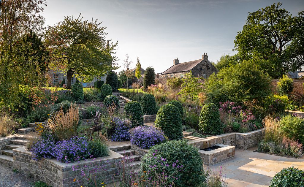 Image may contain Garden Nature Outdoors Grass Plant Park Vegetation Landscape Backyard Yard and Tree