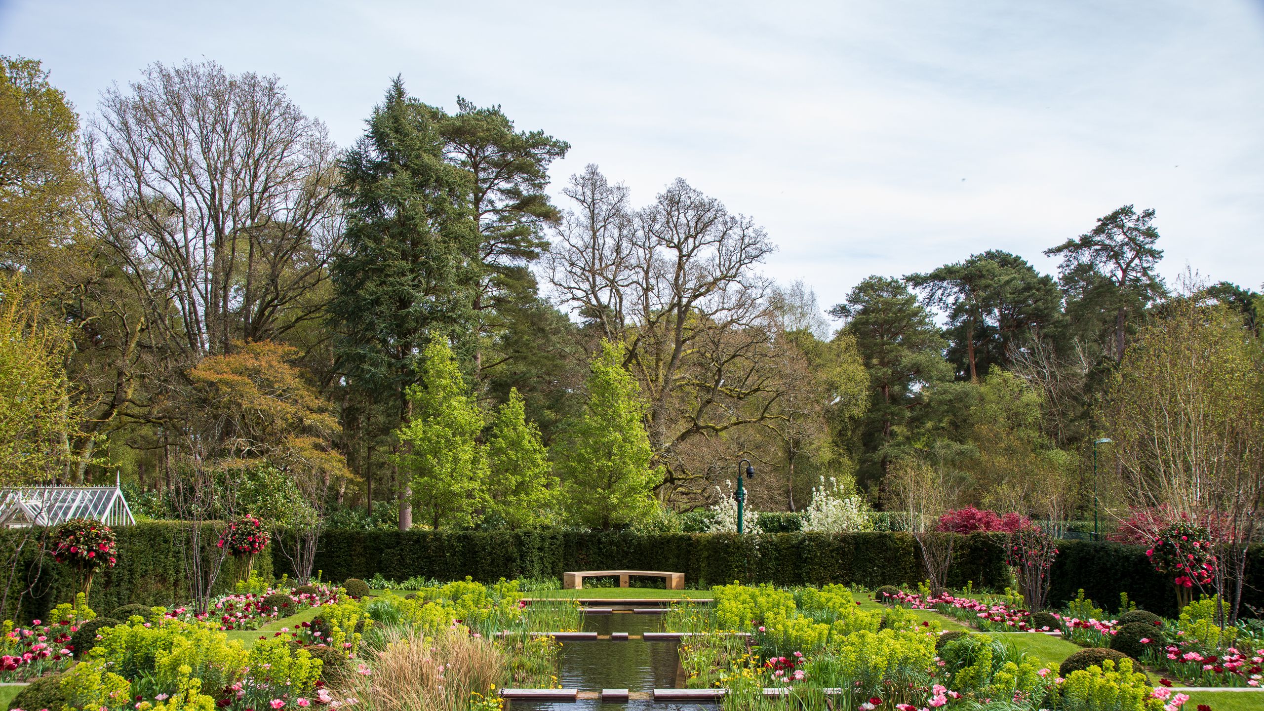 Image may contain: Garden, Grass, Nature, Outdoors, Park, Plant, Vegetation, Grove, Land, Tree, Woodland, Pond, and Water