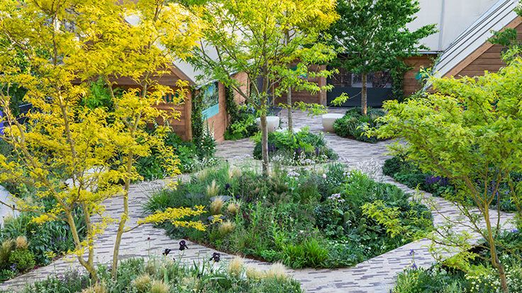 Image may contain: Garden, Nature, Outdoors, Backyard, Yard, Plant, Vegetation, Grass, Park, Path, Tree, Person, and Herbal