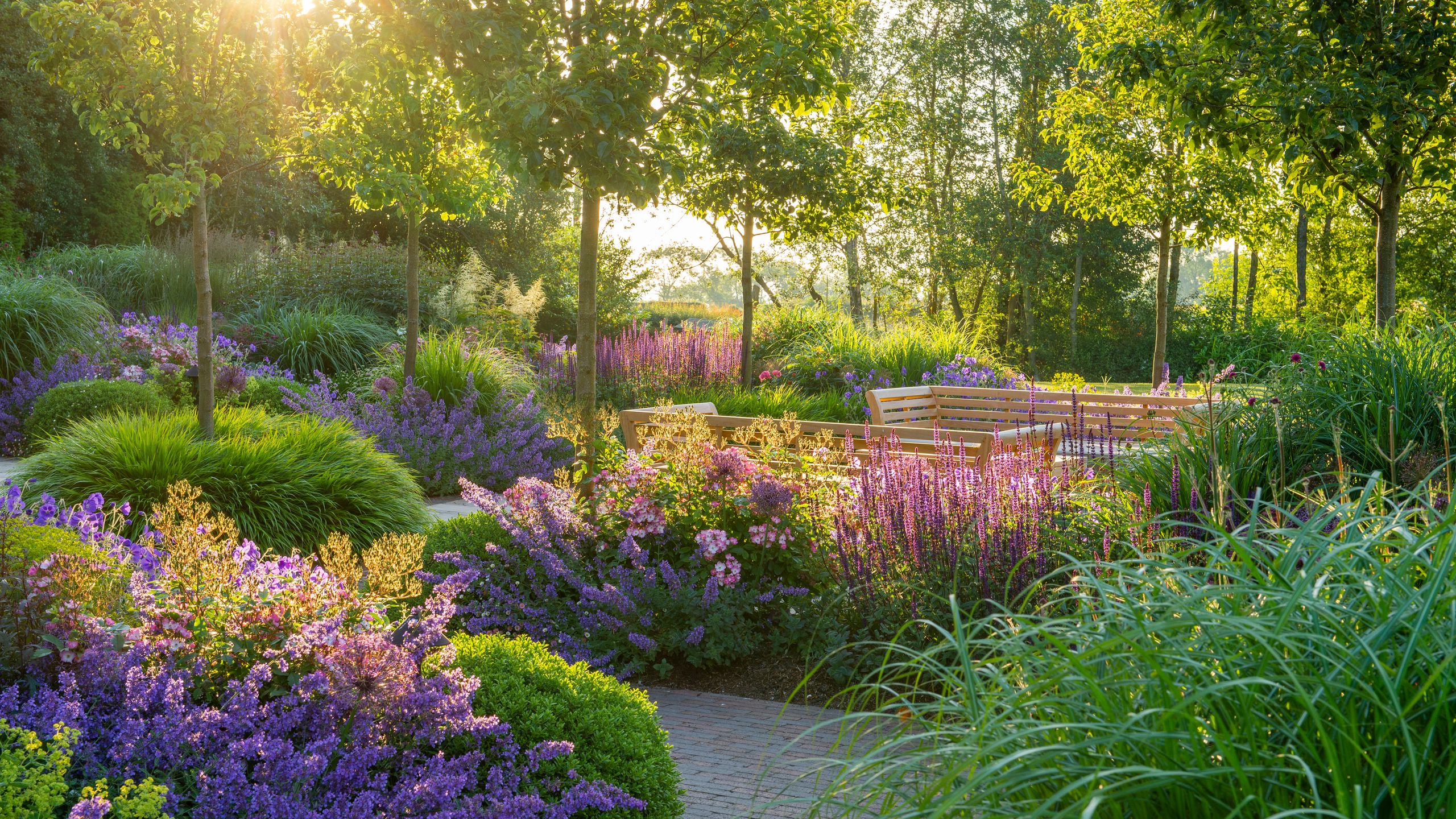 Image may contain: Grass, Nature, Outdoors, Park, Plant, Vegetation, Garden, Land, Tree, Woodland, Grove, Herbal, and Herbs