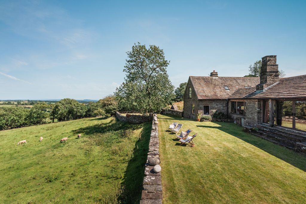 Image may contain Grass Plant Outdoors Animal Livestock Mammal Sheep Chair Furniture Nature and Architecture