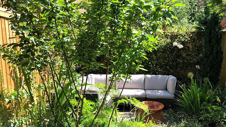 Image may contain: Backyard, Nature, Outdoors, Yard, Garden, Couch, Furniture, Indoors, Interior Design, and Plant