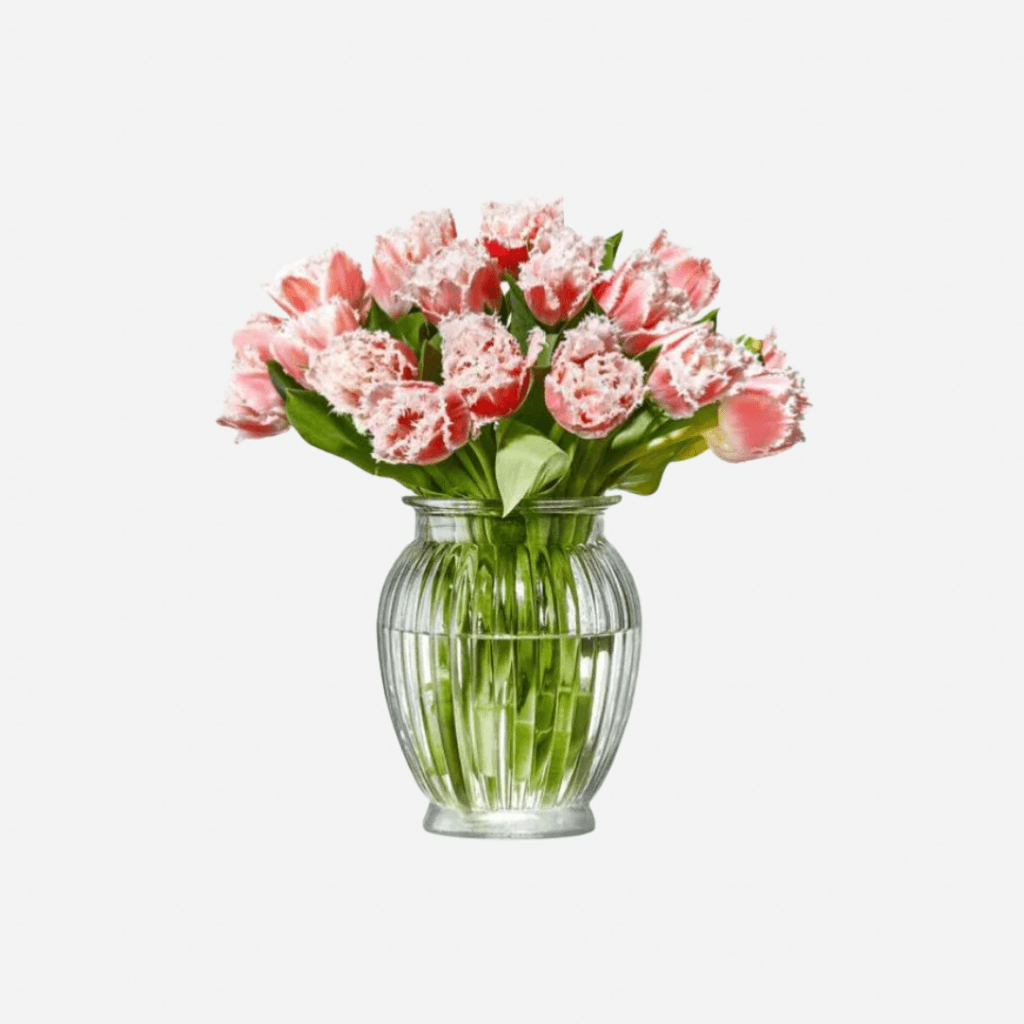Image may contain Flower Flower Arrangement Plant Flower Bouquet Pottery Carnation and Jar