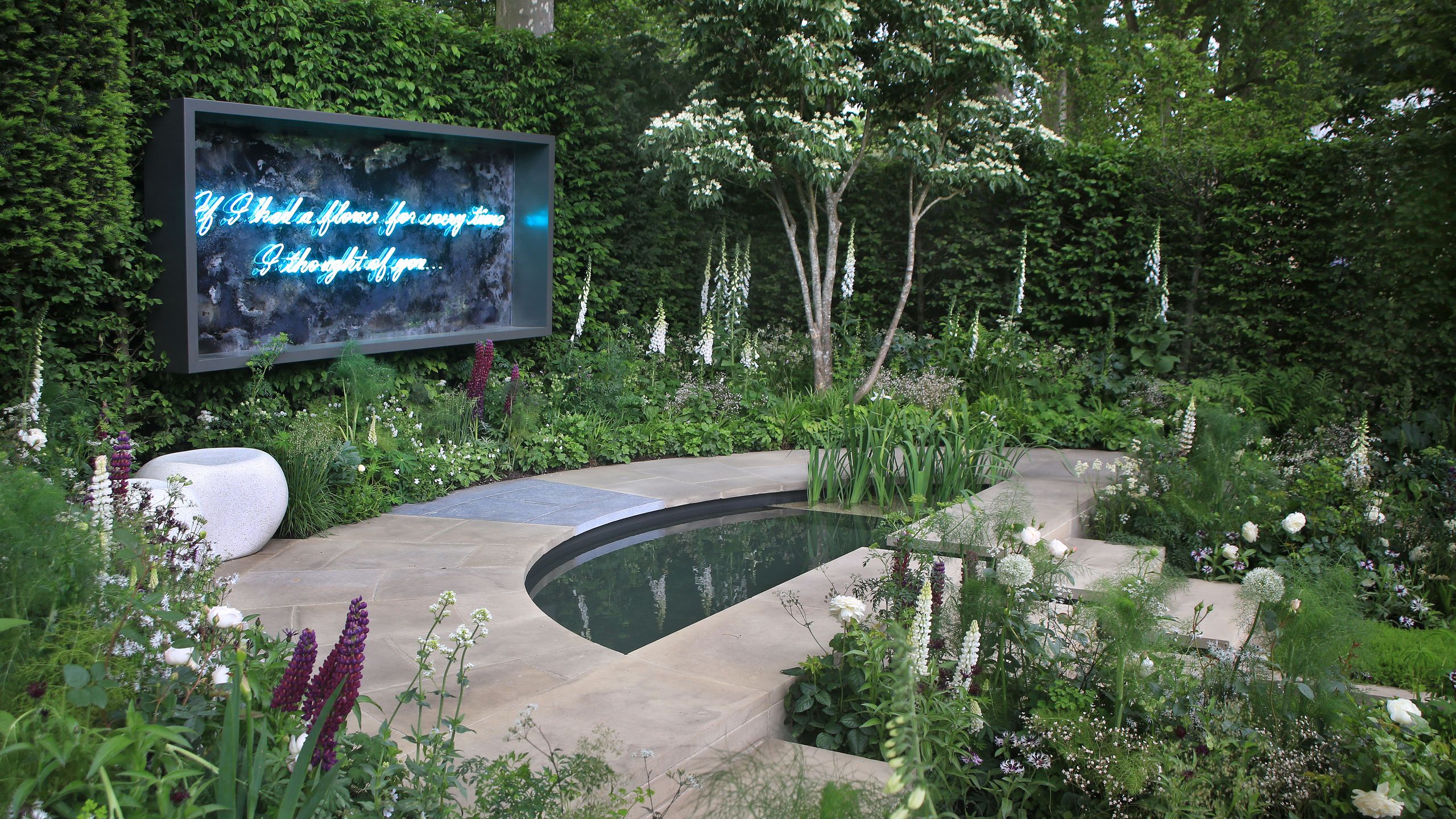 Image may contain: Nature, Outdoors, Pond, Water, Backyard, Yard, Garden, Computer Hardware, Electronics, and Hardware