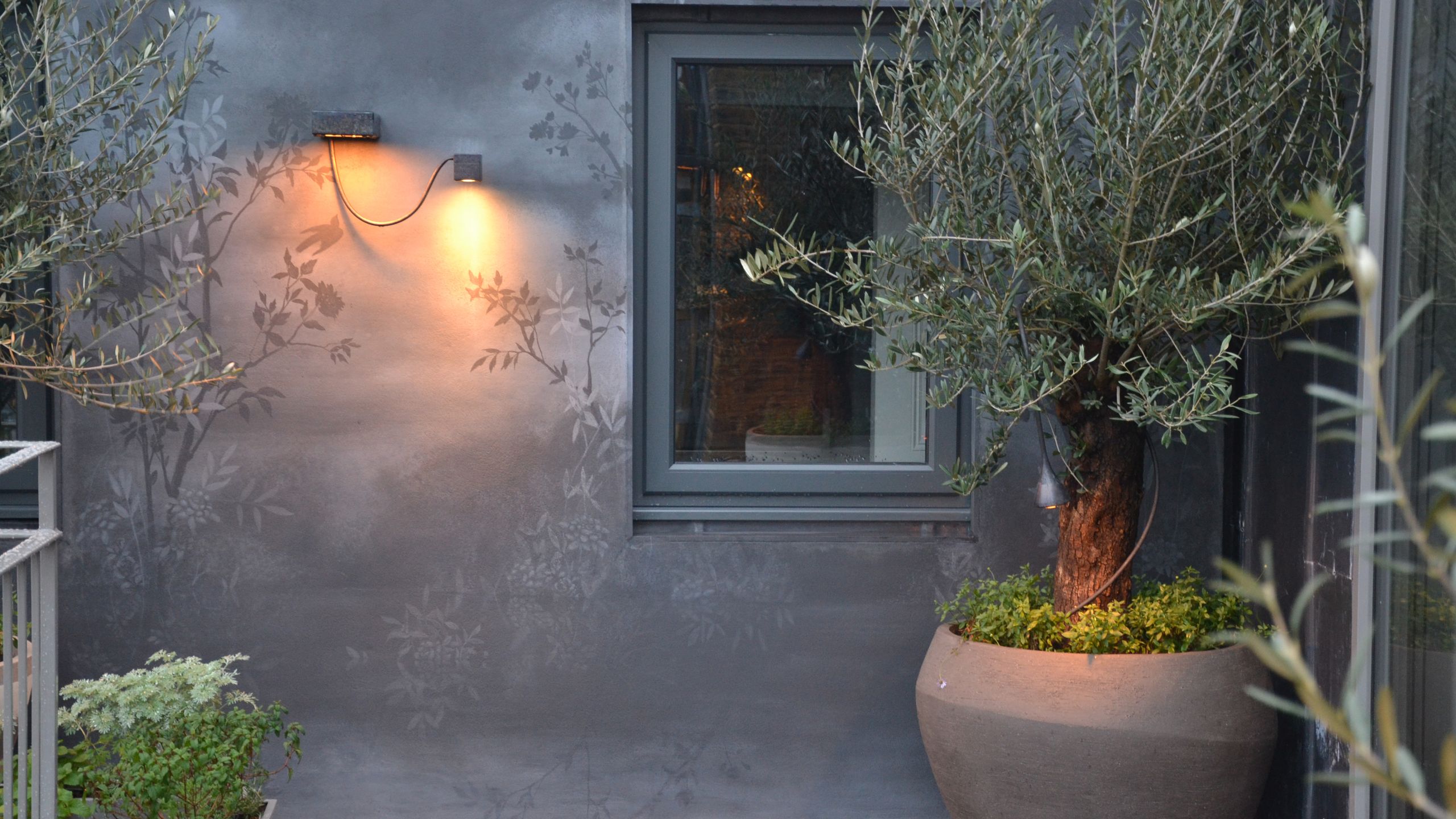 Image may contain: Plant, Potted Plant, Jar, Planter, Pottery, Vase, and Tree