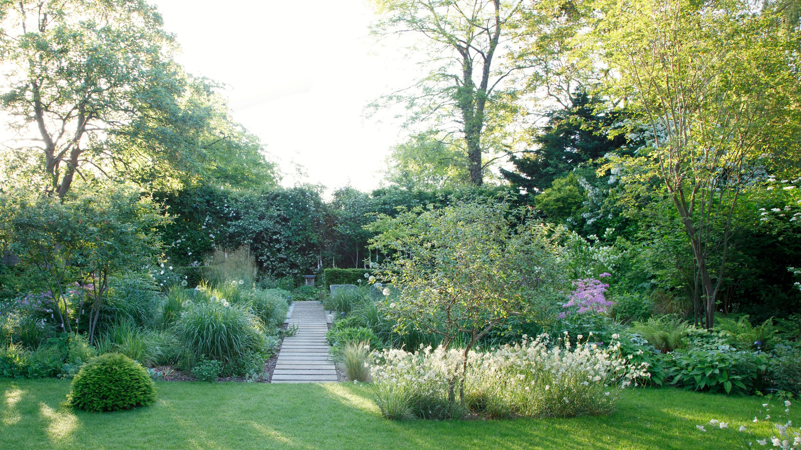 Image may contain: Garden, Grass, Nature, Outdoors, Plant, Park, Backyard, Yard, Vegetation, Land, Tree, and Woodland