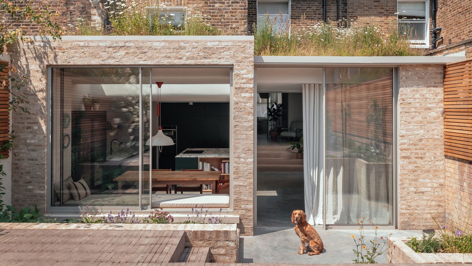 Image may contain: Door, Indoors, Interior Design, Plant, Animal, Canine, Dog, Mammal, Pet, Lamp, Chair, and Furniture