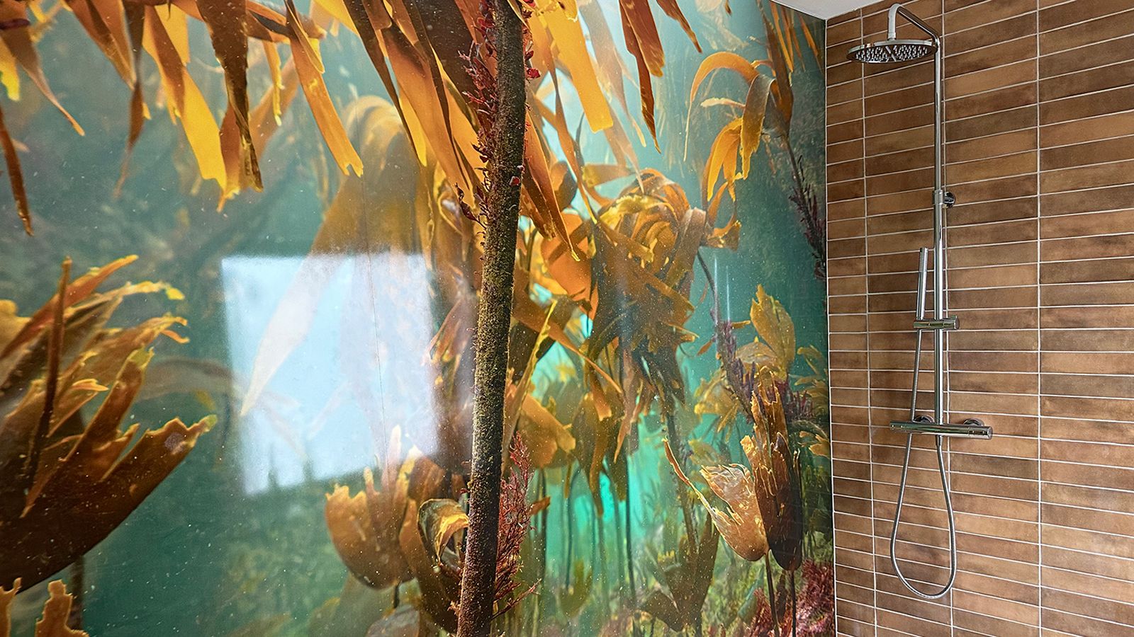 Image may contain: Indoors, Outdoors, Bathroom, Room, Shower Faucet, and Water