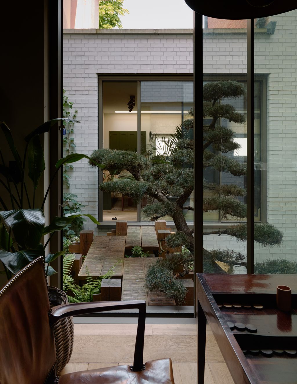 Image may contain Plant Potted Plant Tree Indoors Interior Design Floor Door Chair Furniture Window and Cup