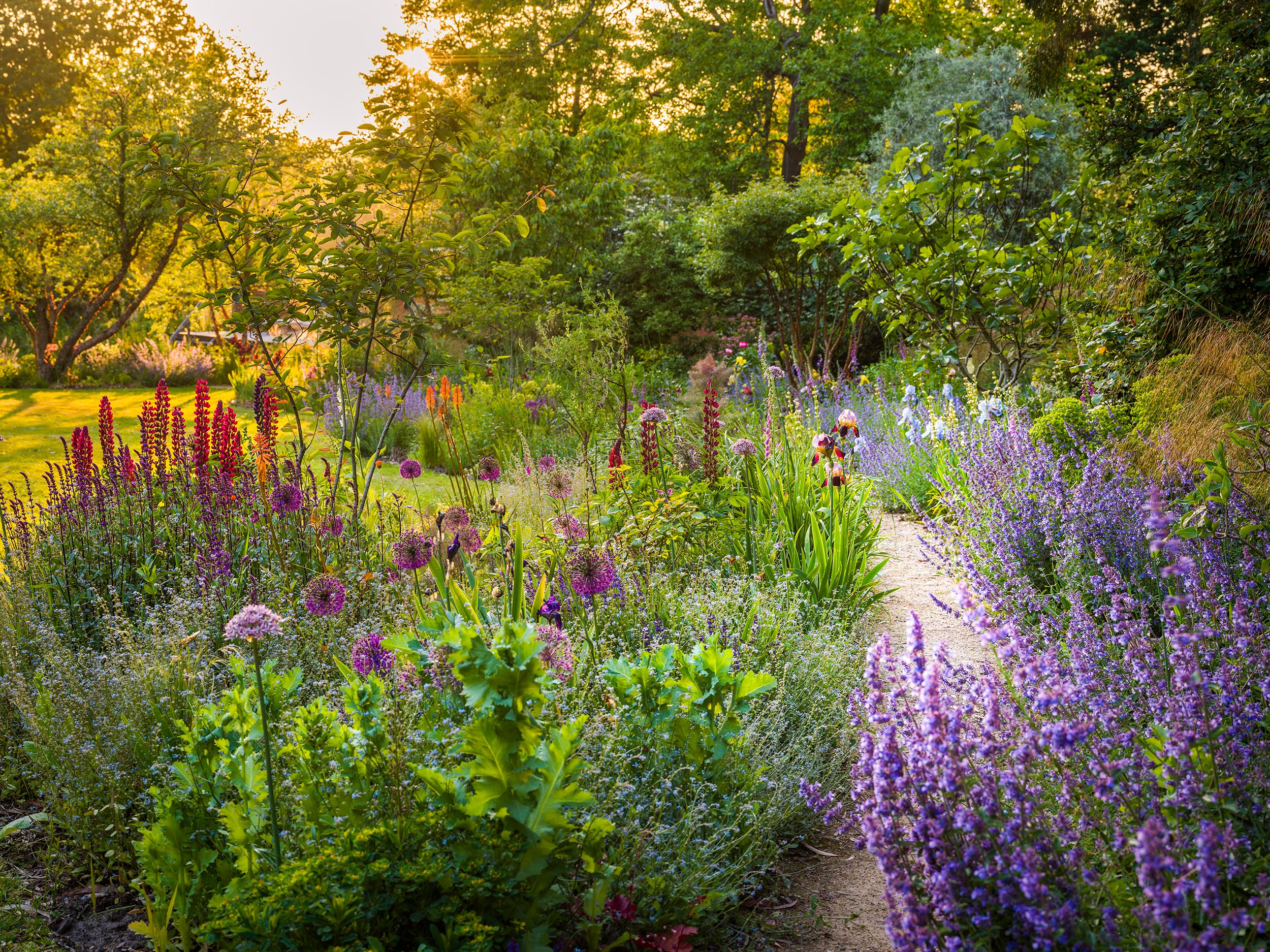 Image may contain: Plant, Vegetation, Herbal, Herbs, Grove, Land, Nature, Outdoors, Tree, Woodland, Path, Grass, and Park