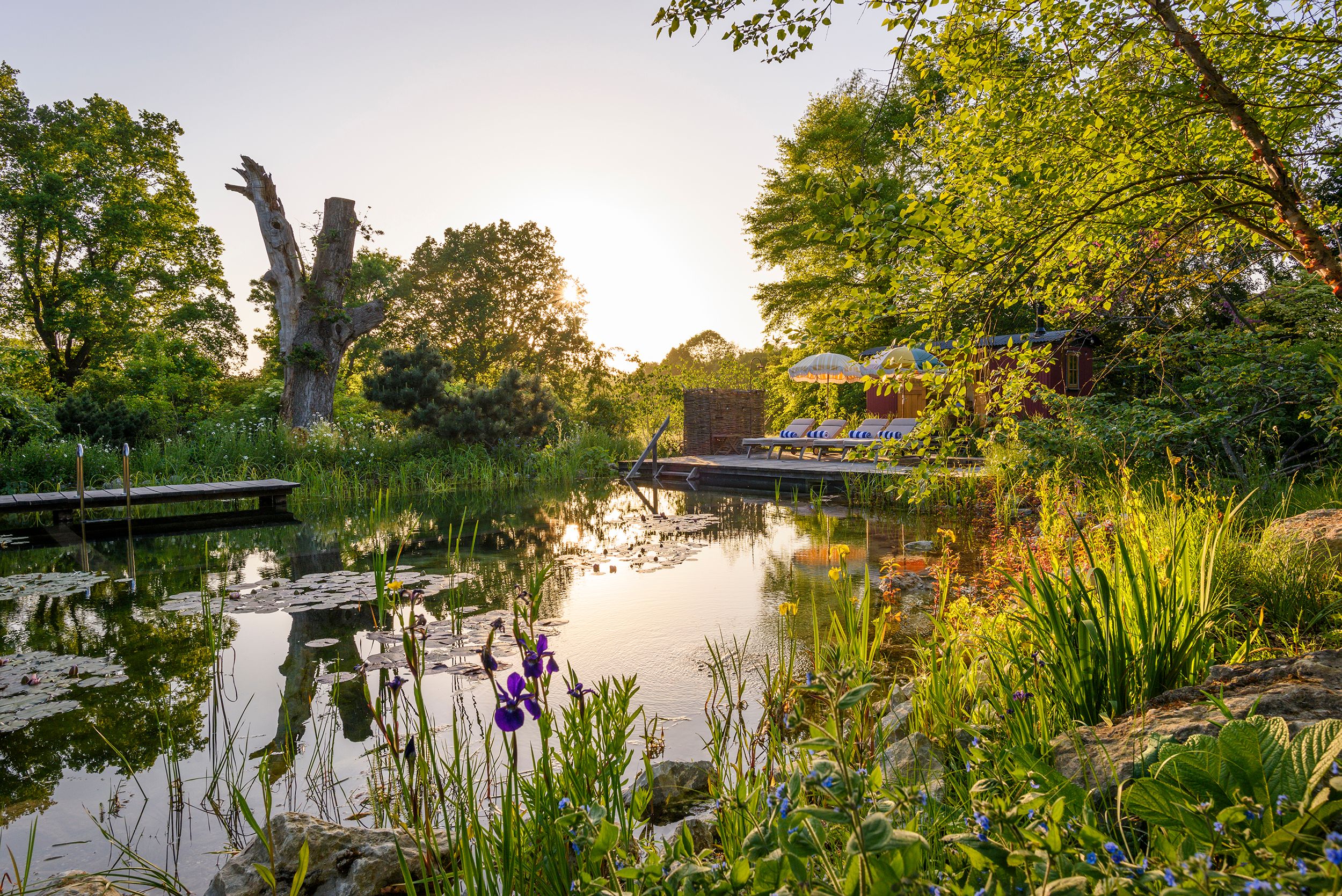 Image may contain: Nature, Outdoors, Pond, Water, Scenery, Landscape, Plant, Vegetation, Grass, Park, Land, Tree, and Garden