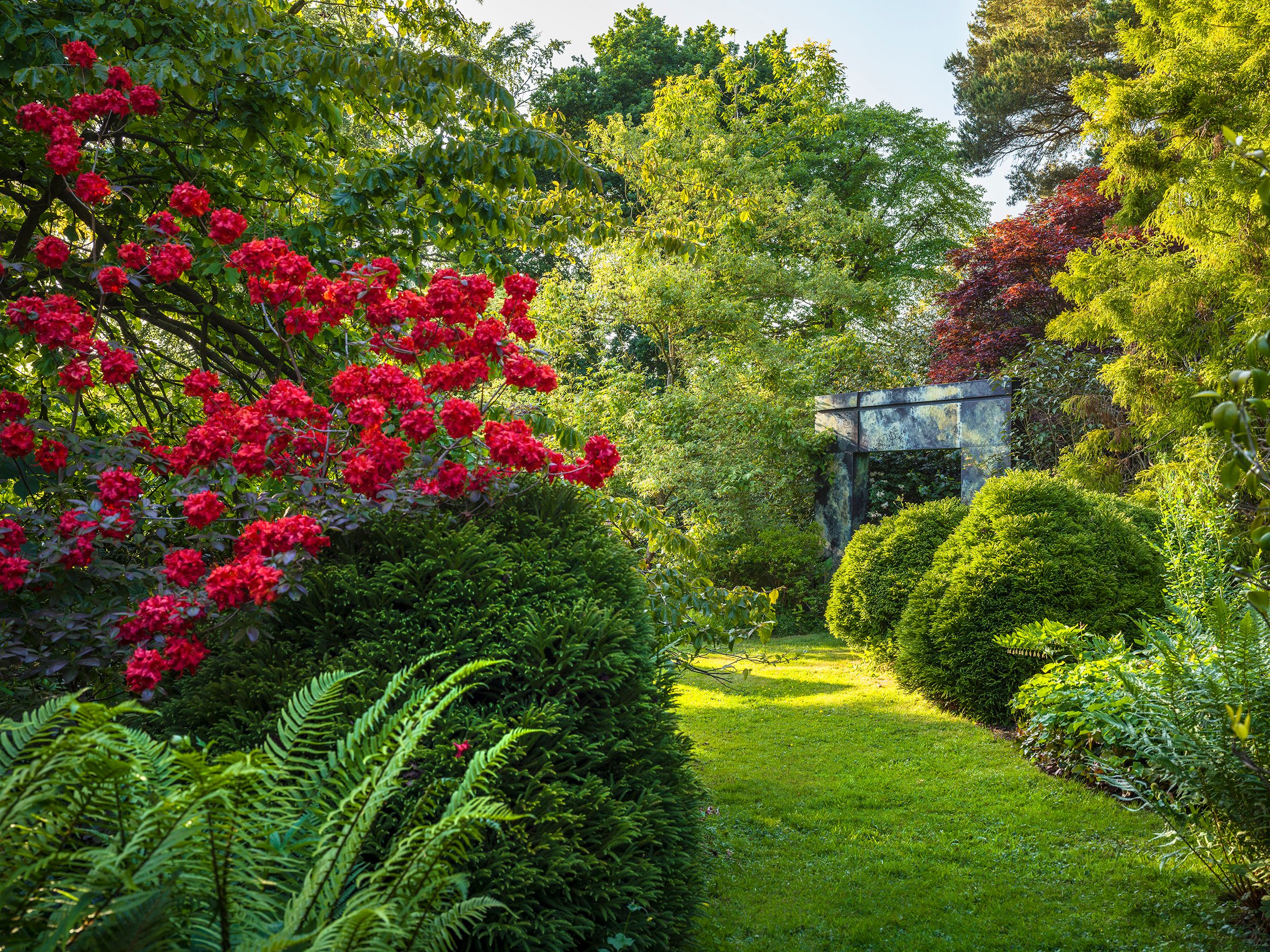 Image may contain: Garden, Nature, Outdoors, Grass, Park, Plant, Vegetation, Land, Tree, Woodland, Grove, and Scenery