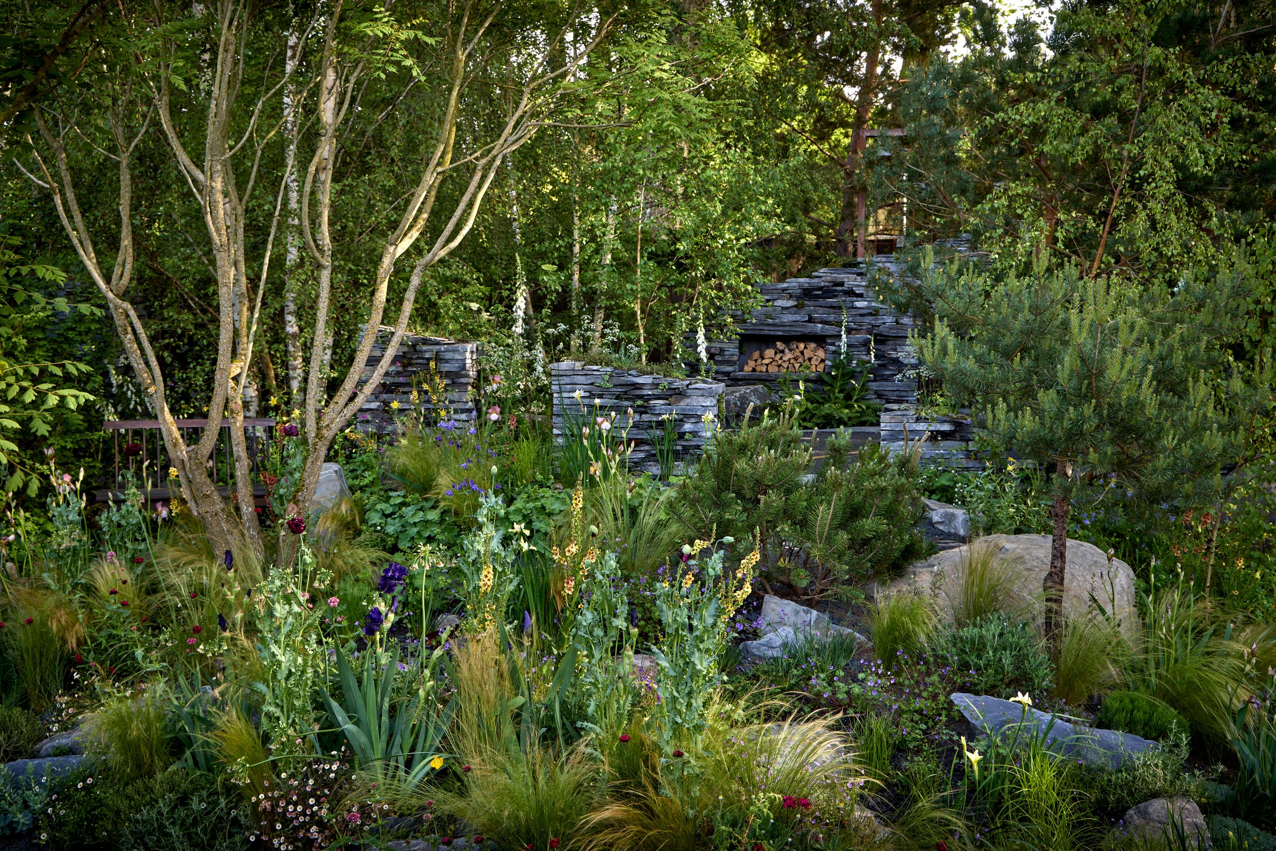 Image may contain: Plant, Vegetation, Garden, Nature, Outdoors, Herbal, Herbs, Grove, Land, Tree, Woodland, Grass, and Park