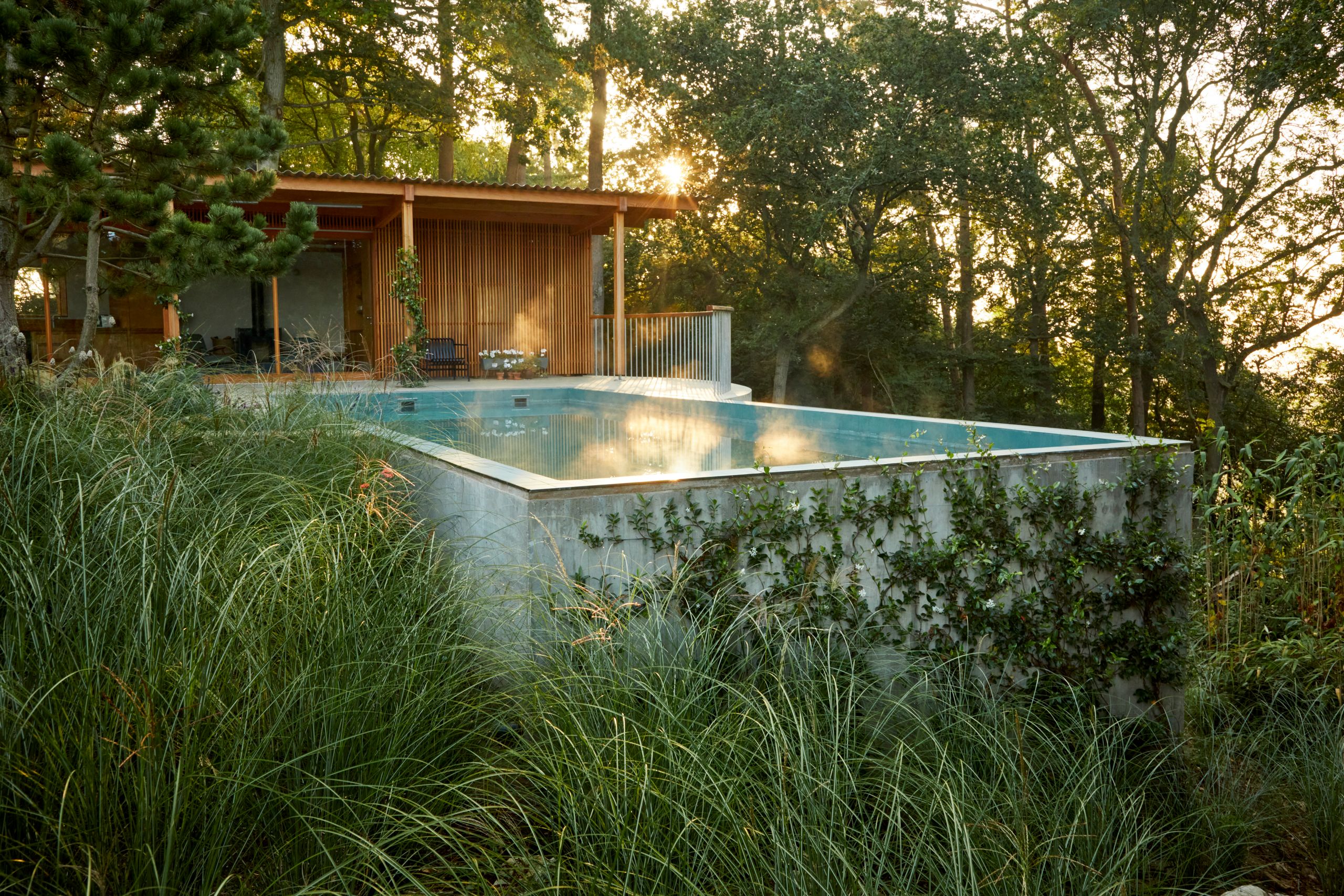 Image may contain: Backyard, Nature, Outdoors, Yard, Pool, Water, Swimming Pool, Indoors, Interior Design, and Architecture