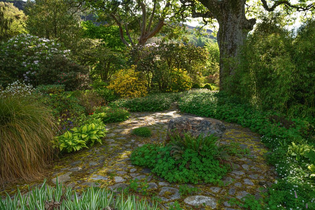 Image may contain Plant Vegetation Land Nature Outdoors Tree Woodland Grass Park Garden Path Grove and Herbal