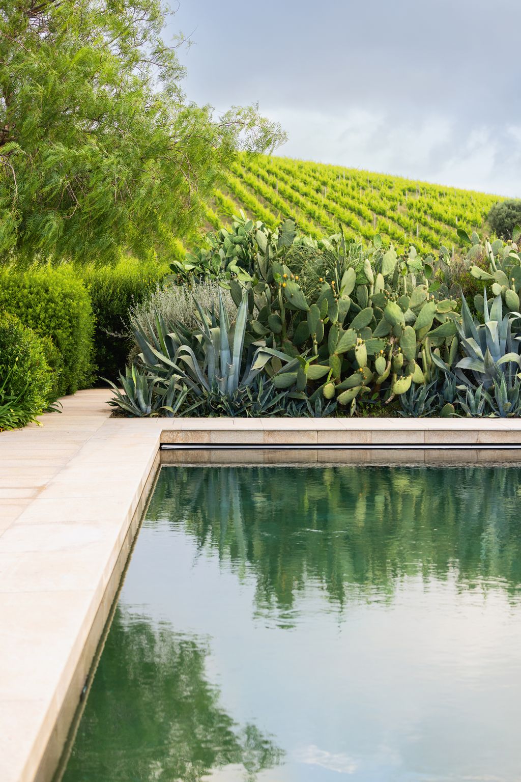 Image may contain Plant Vegetation Herbal Herbs Pool Water Outdoors Swimming Pool Summer Nature Scenery and Grass