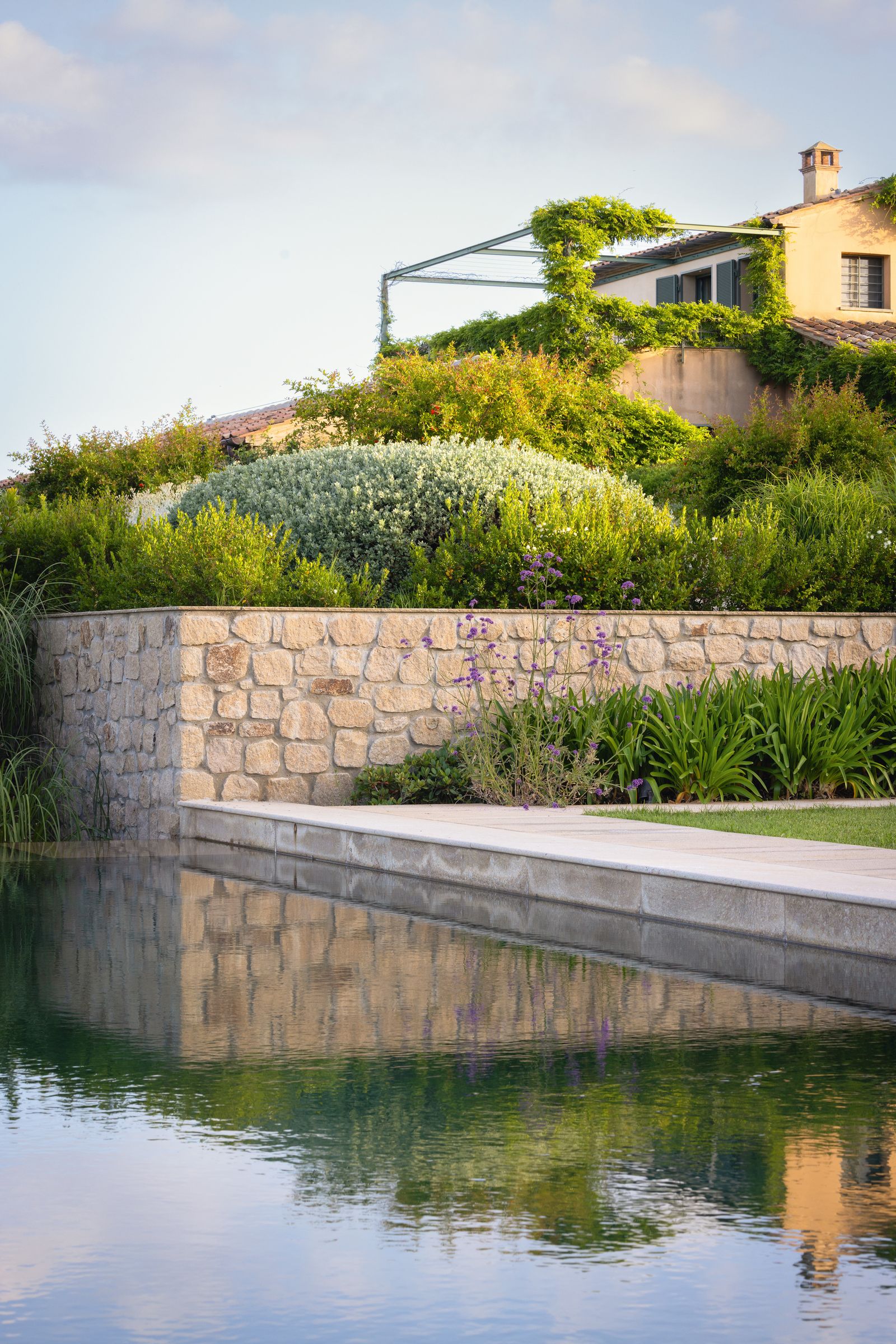 Image may contain Nature Outdoors Pond Water Grass Plant Scenery Backyard Yard Path Architecture and Building