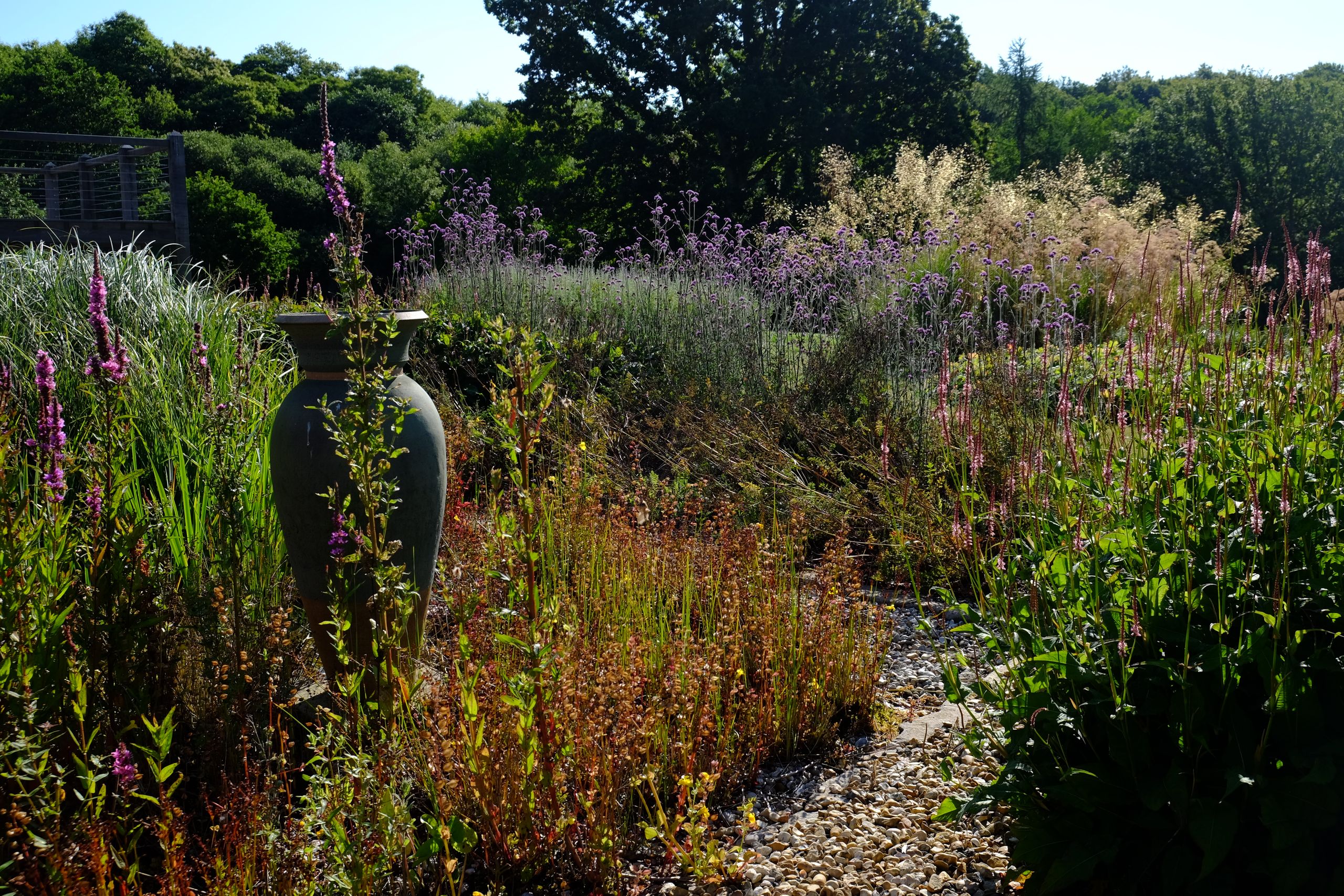 Image may contain: Plant, Vegetation, Herbal, Herbs, Jar, Grass, Garden, Nature, Outdoors, Pottery, Grove, Land, and Tree