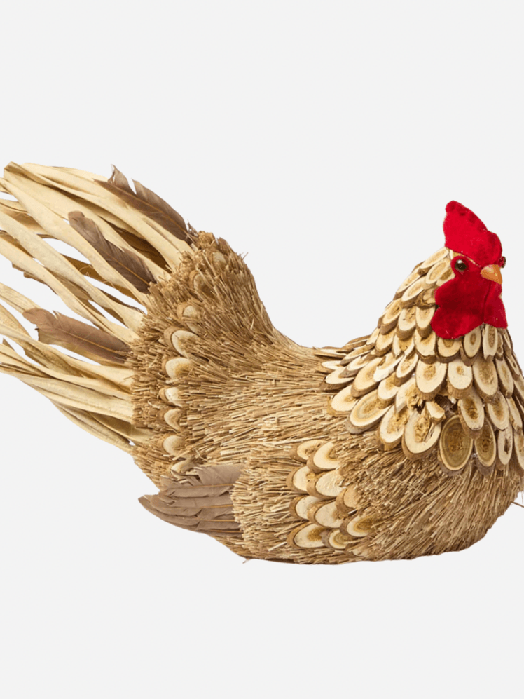 Image may contain: Animal, Bird, Chicken, Fowl, Poultry, and Hen