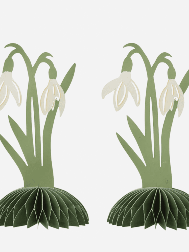 Image may contain: Flower, Plant, Amaryllidaceae, and Art