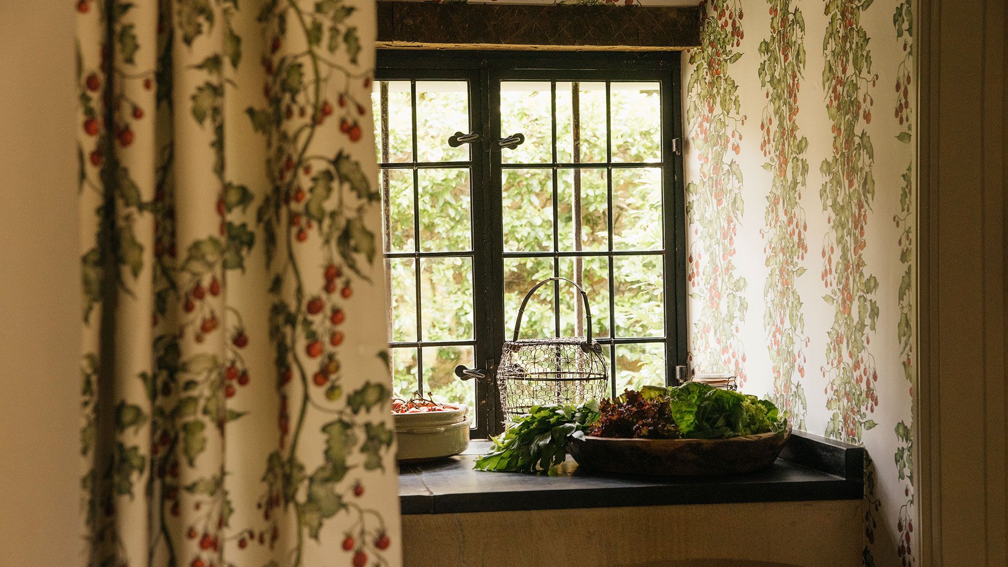 Image may contain: Window, Plant, and Windowsill